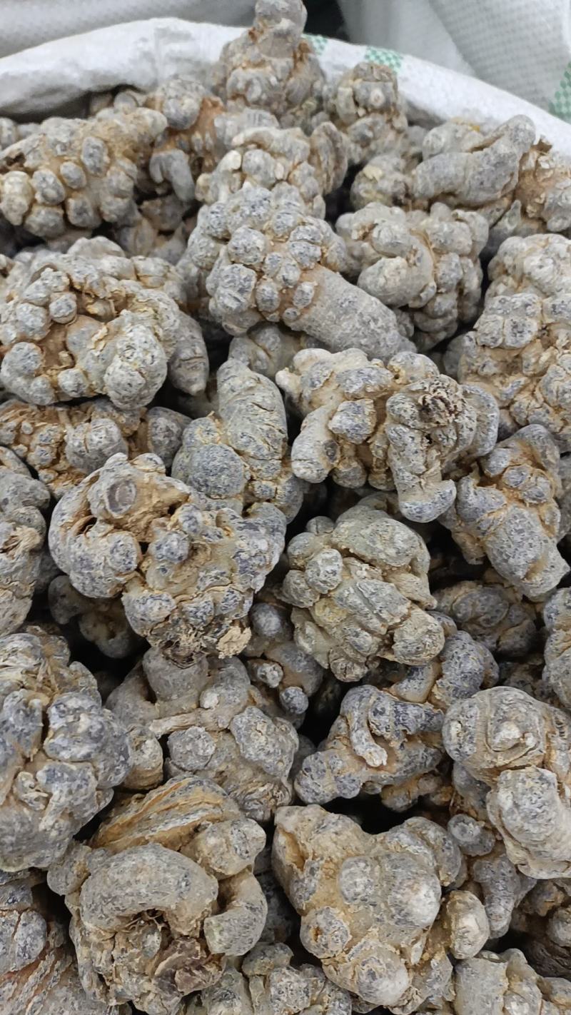 三七文山三七规格多货品齐代加工打粉有需要下单就发货