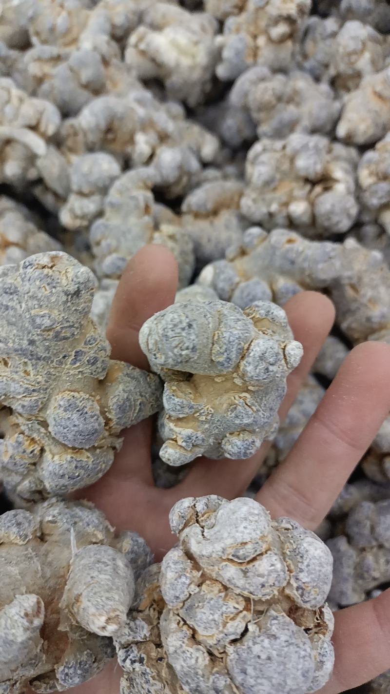 三七文山三七规格多货品齐代加工打粉有需要下单就发货