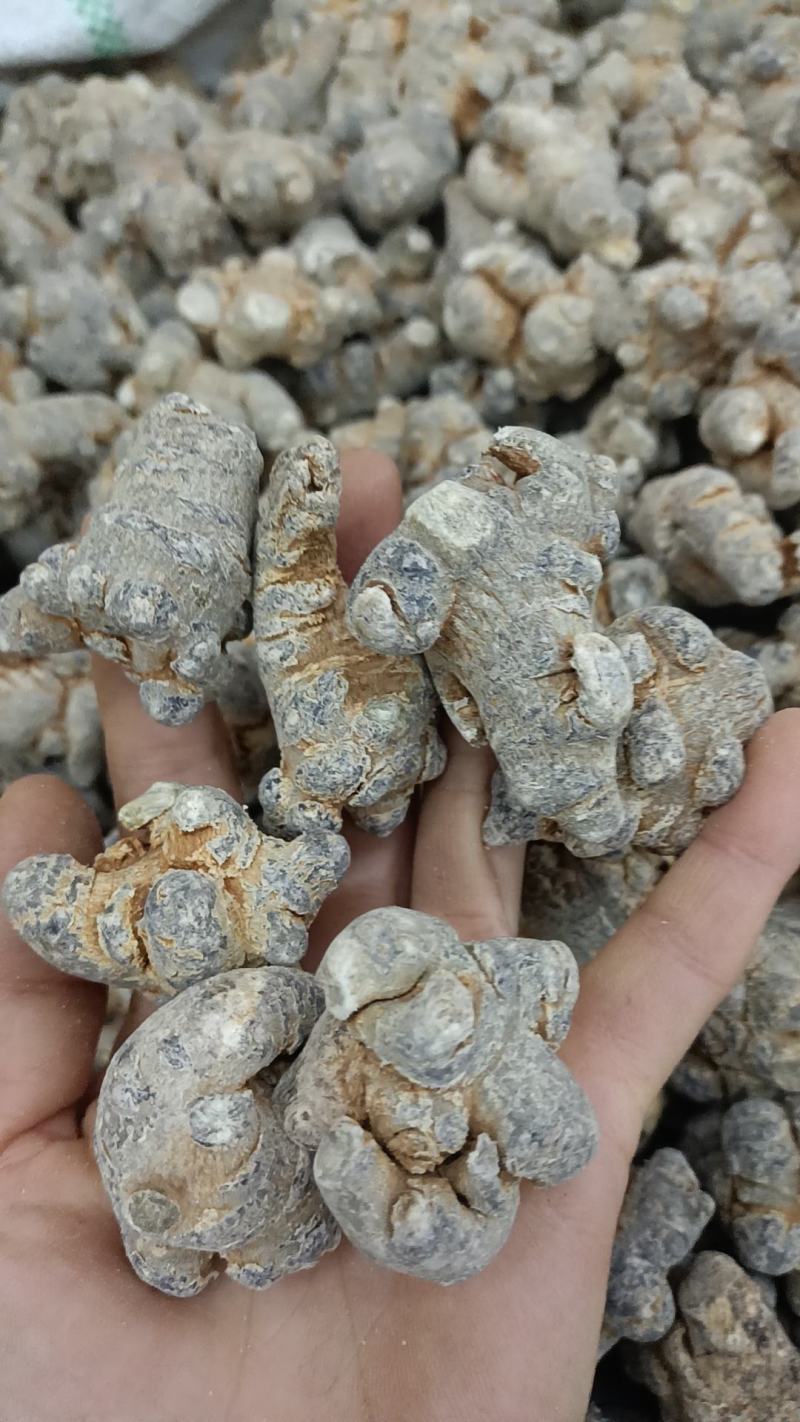 三七文山三七规格多货品齐代加工打粉有需要下单就发货