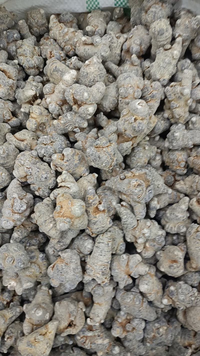 三七文山三七规格多货品齐代加工打粉有需要下单就发货