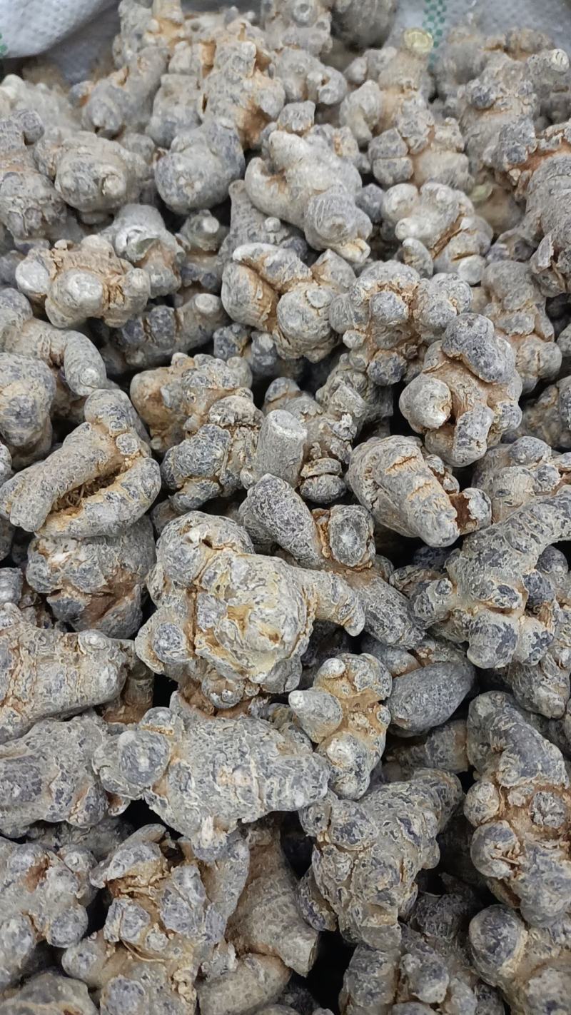 三七文山三七规格多货品齐代加工打粉有需要下单就发货