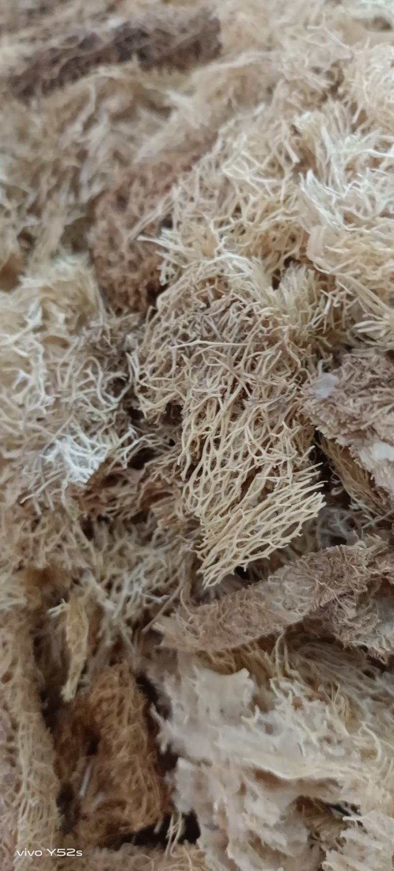 丝瓜络药用各种中药，品种多货品齐实体拍摄无硫***