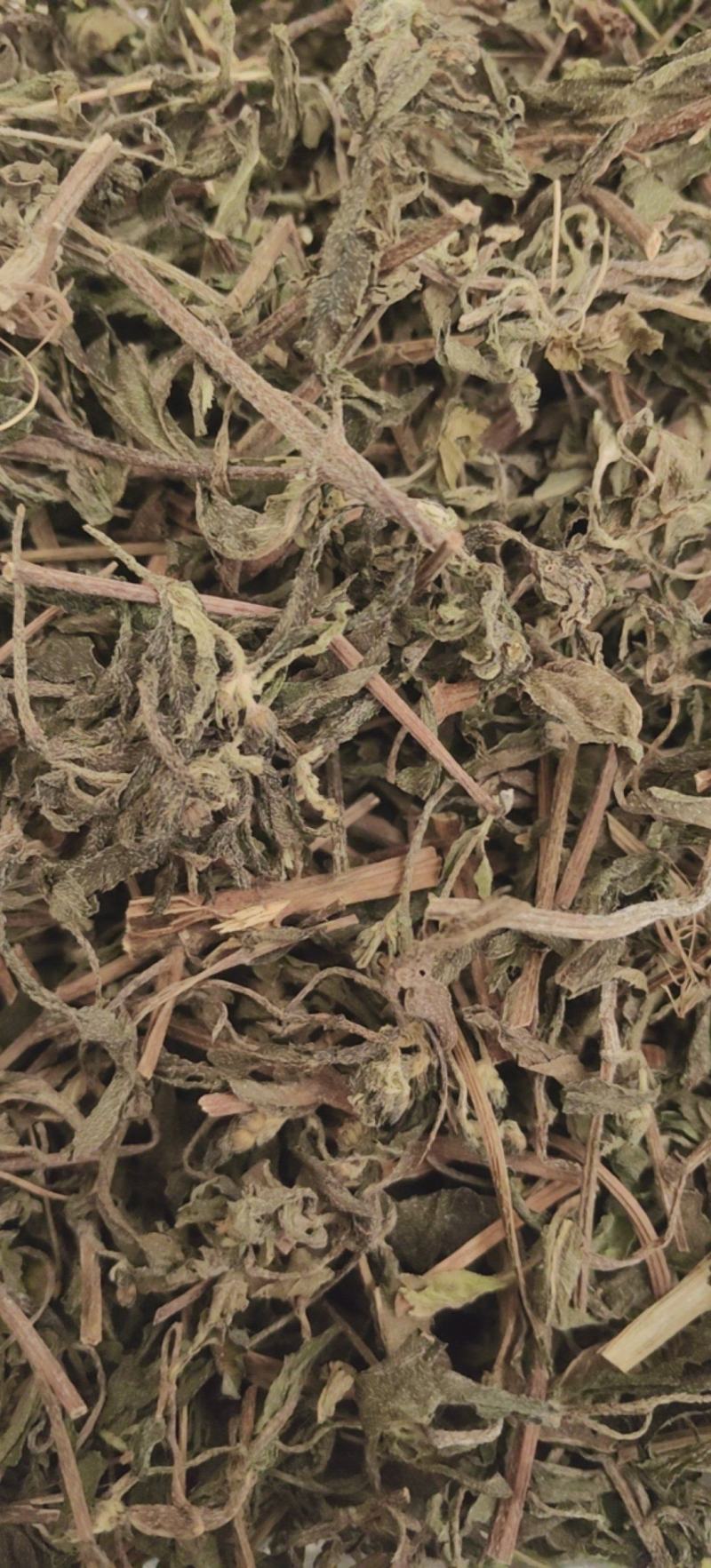旱莲草墨旱莲优质无硫除尘货产地直销一手货源