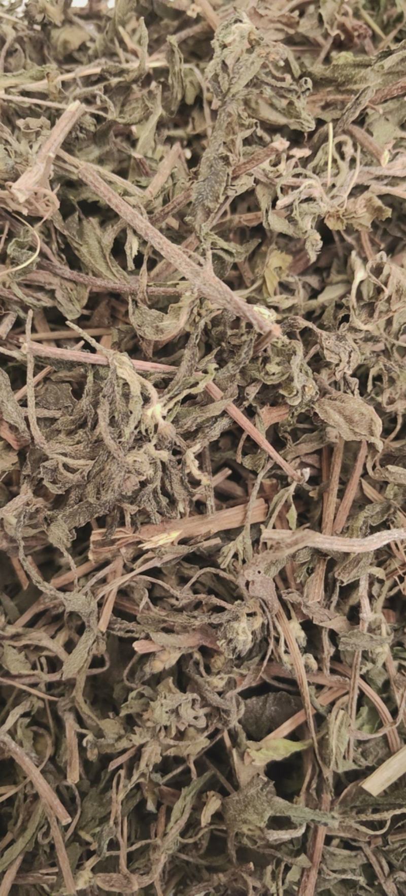 旱莲草墨旱莲优质无硫除尘货产地直销一手货源