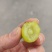 阳光玫瑰