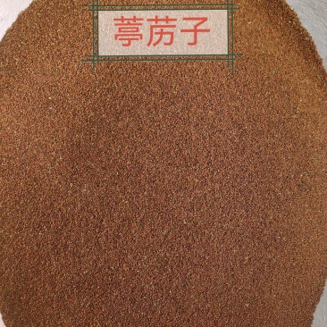 葶苈子亭立子干净无杂米米蒿籽产地直发一手货源