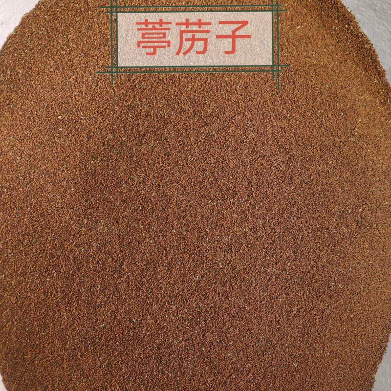 葶苈子亭立子干净无杂米米蒿籽产地直发一手货源