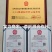 沙棘种子，沙棘种子发芽率高，成活率高