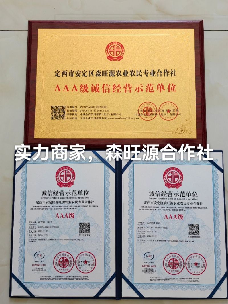 沙棘种子，沙棘种子发芽率高，成活率高