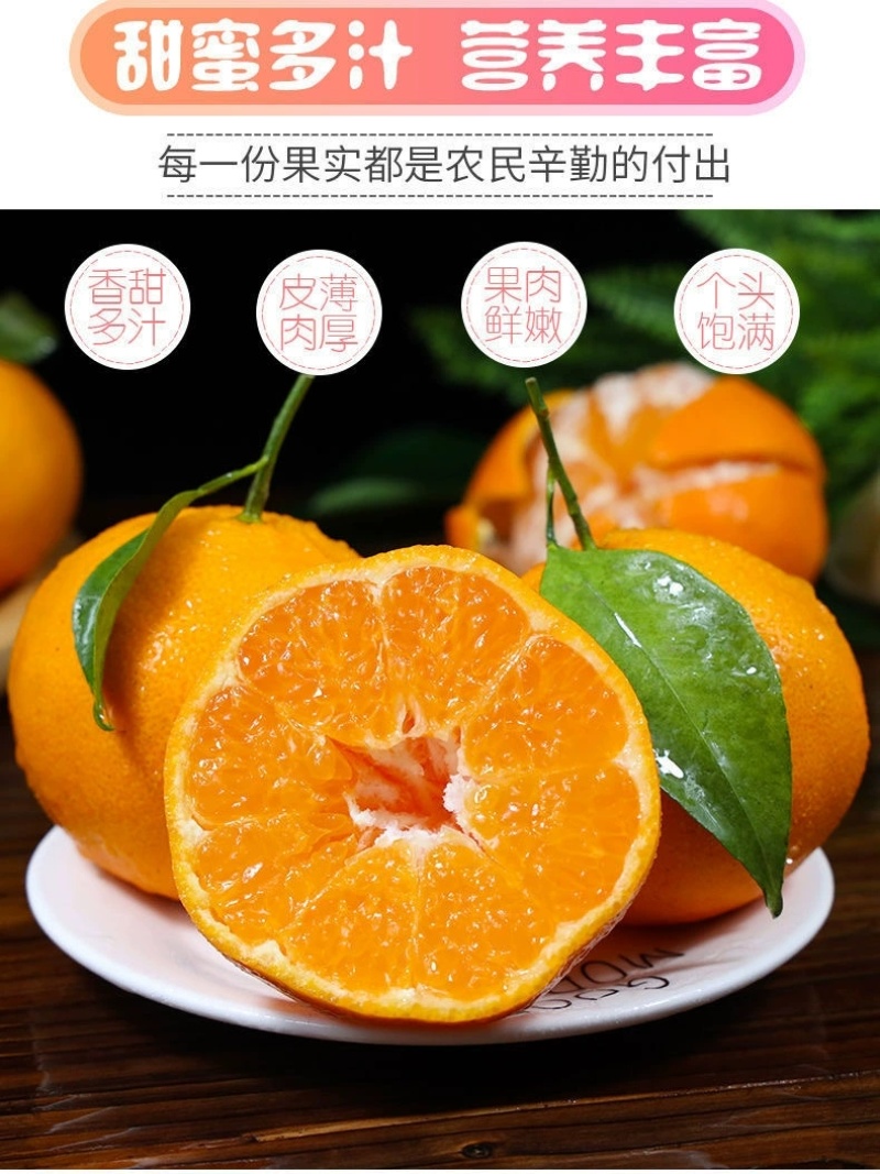 四川春见耙耙柑一件代发眉山丹棱浦江农场批发代办装车