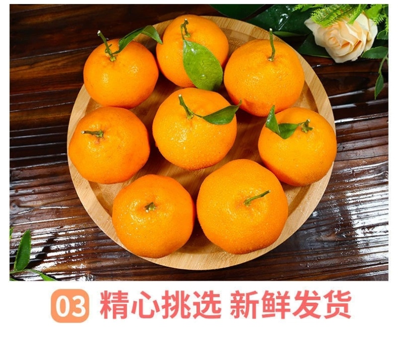 四川春见耙耙柑一件代发眉山丹棱浦江农场批发代办装车