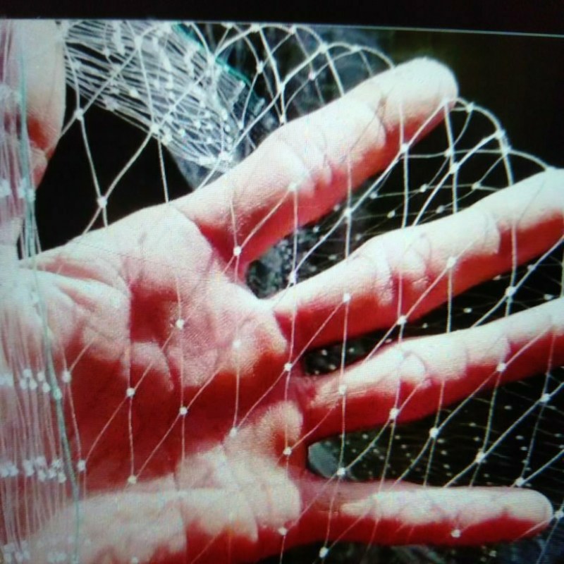 防鸟网尼龙网使用寿命长一斤55-60平方果树鱼塘专用