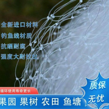果园防鸟网樱桃树葡萄果园樱桃园鱼塘农田网草莓防护天网果树