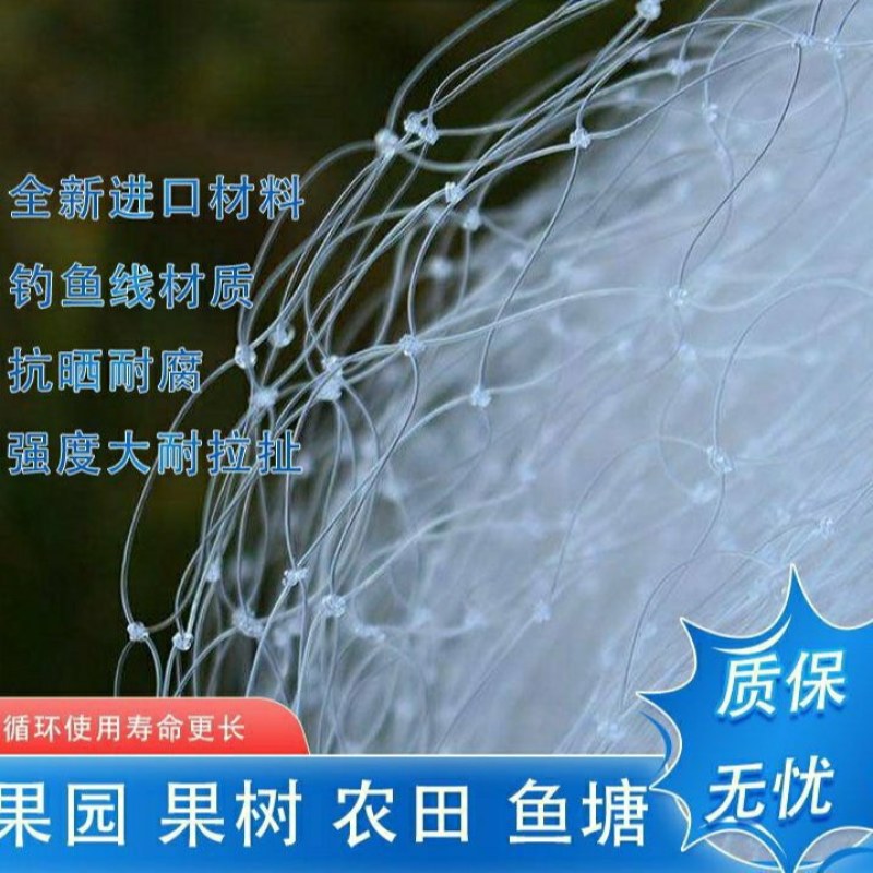 果园防鸟网樱桃树葡萄果园樱桃园鱼塘农田网草莓防护天网果树
