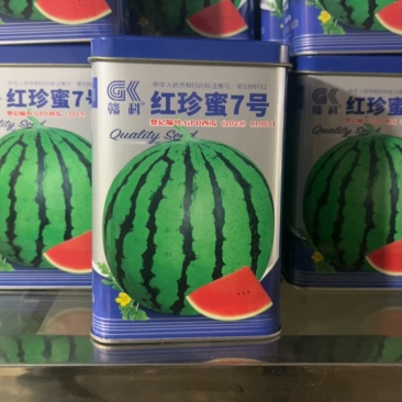 红珍蜜7号大果型超甜西瓜一代杂交中熟一级品种