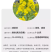 观赏油菜花种子高产榨油油菜籽四季易种耐热耐旱花种籽子易活
