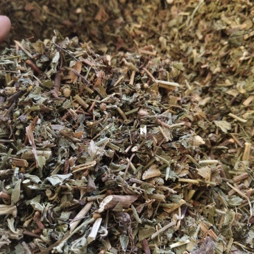 仙鹤草产新仙鹤草无琉***过筛净货色泽好