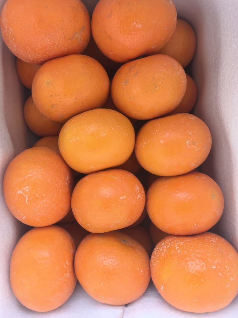 沃柑，武鸣沃柑，爽口多汁，口味**，果面漂亮，优质产地。
