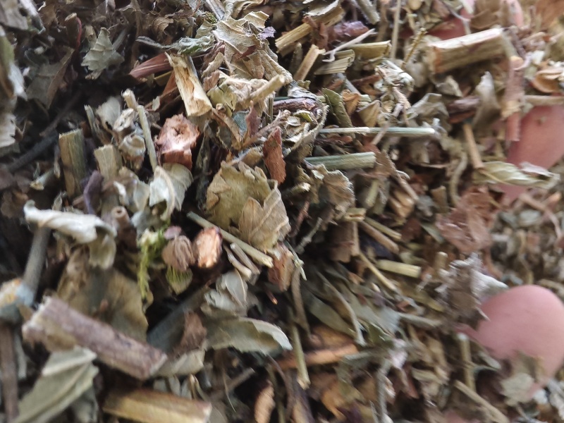 仙鹤草产新仙鹤草无琉***过筛净货色泽好