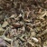 仙鹤草产新仙鹤草无琉***过筛净货色泽好