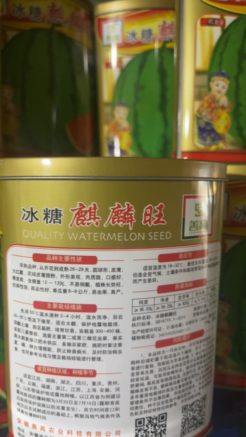 善高冰糖麒麟瓜一代杂交超甜超大
