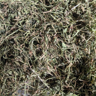 半边莲半边连优质物流货源产地直销一手货源批发各种中药材