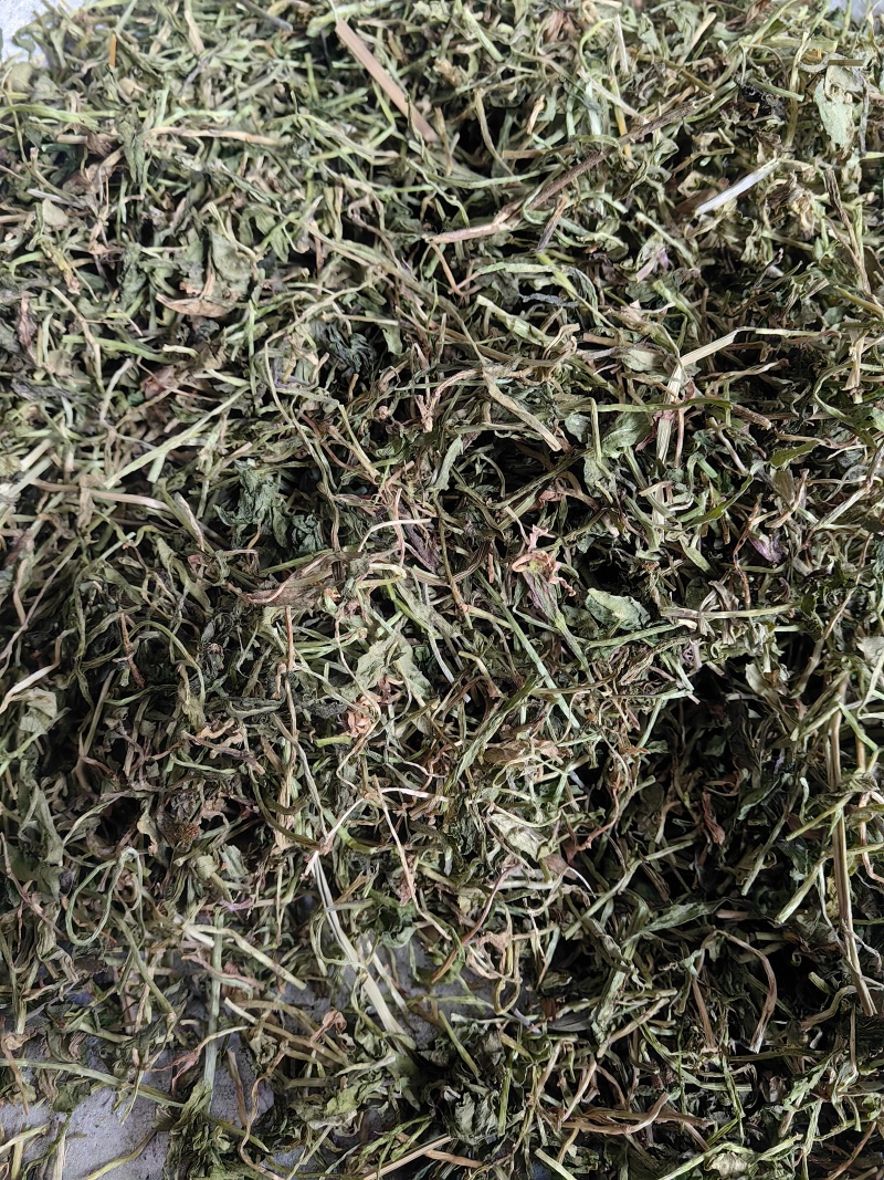 半边莲半边连优质物流货源产地直销一手货源批发各种中药材
