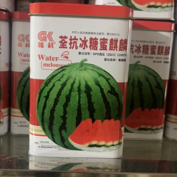 赣科冰糖麒麟王早熟品种