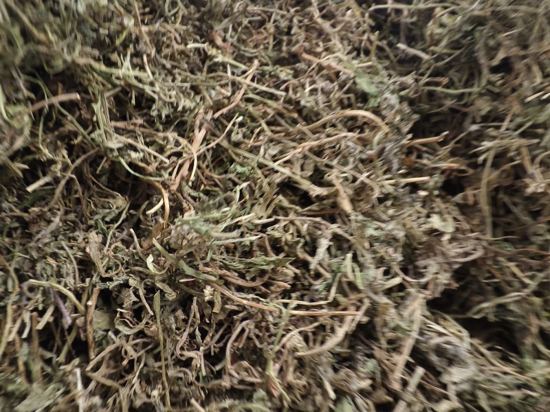 鹅不食草新货鹅食草色青无杂质批发零售正品鹅不食草