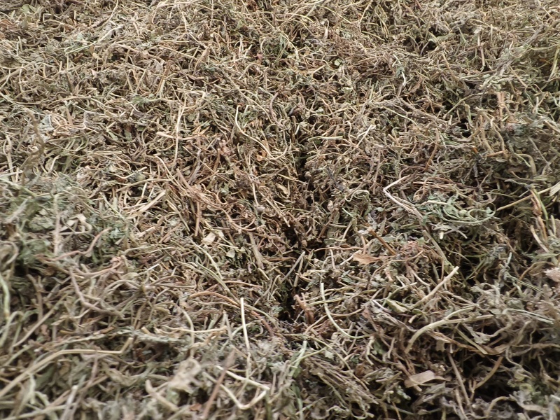 鹅不食草新货鹅食草色青无杂质批发零售正品鹅不食草