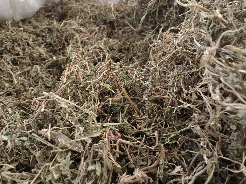 鹅不食草新货鹅食草色青无杂质批发零售正品鹅不食草