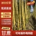 【精选】甘蔗—云南黄金甘蔗—结巴长皮毛亮—质量保证—现采