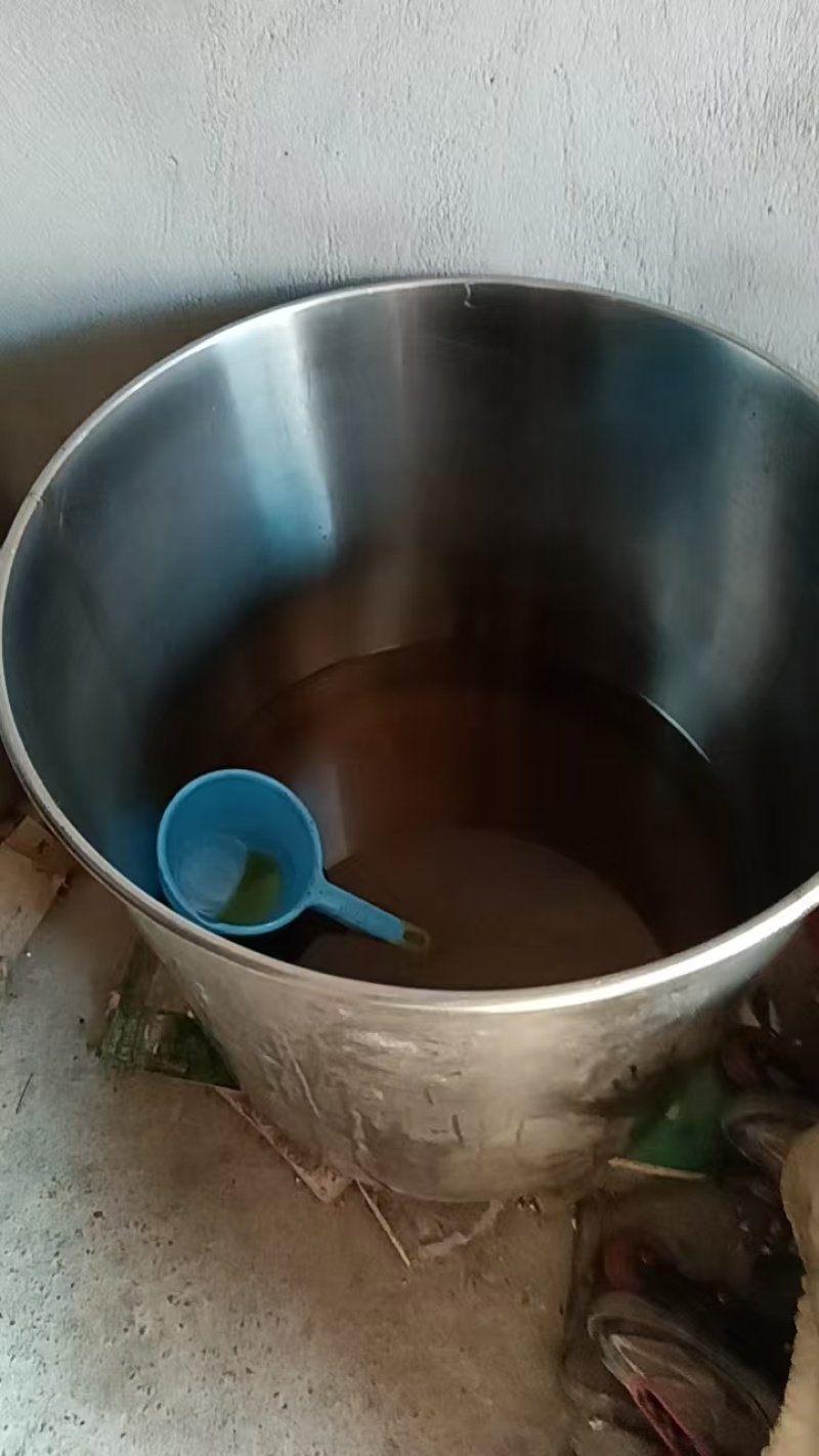 【热卖】江西山茶油正宗山茶油品质保证1斤可发欢迎电联