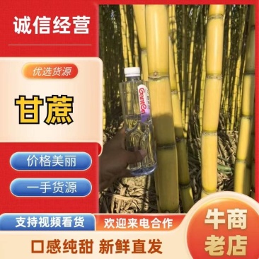 【热卖】甘蔗—云南黄金甘蔗—产地直发—一手货源—保质保量