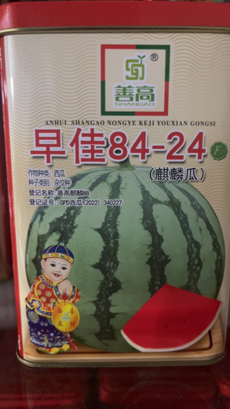 早佳8424麒麟瓜杂交一代瓜大**甜不易破