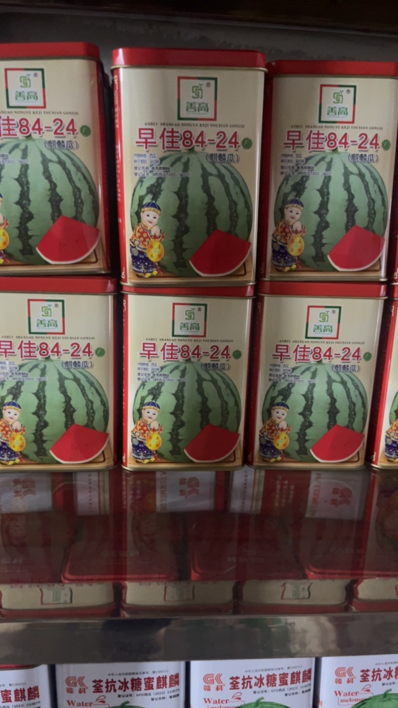 早佳8424麒麟瓜杂交一代瓜大**甜不易破