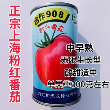 上海合作908粉红番茄种子大果红粉无限生长型酸甜西红柿种