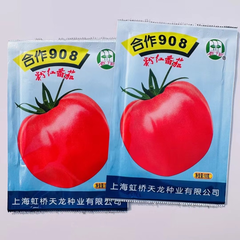 上海合作908粉红番茄种子大果红粉无限生长型酸甜西红柿种