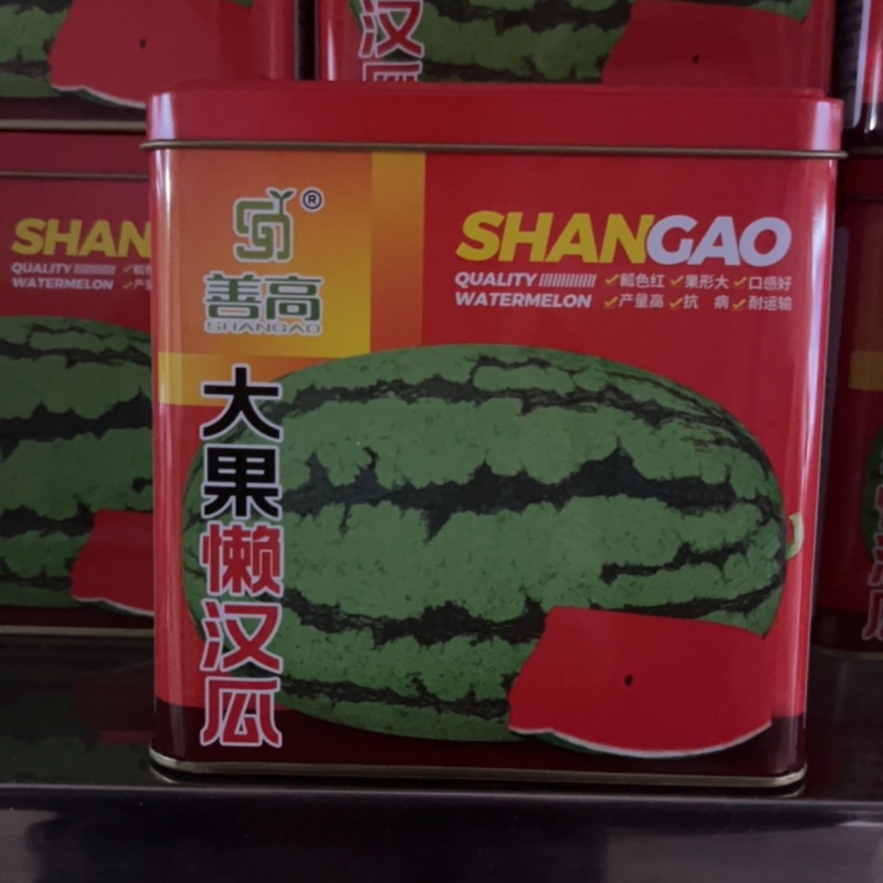 大果懒汉瓜**大瓜抗病高产超甜脆爽口耐运