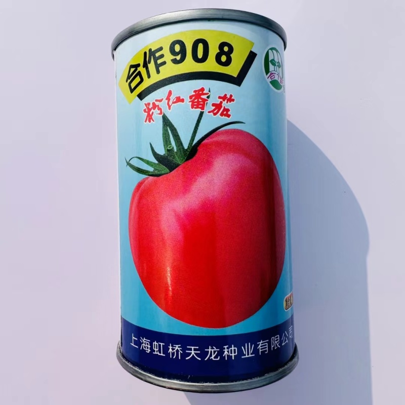上海合作908粉红番茄种子大果红粉无限生长型酸甜西红柿种