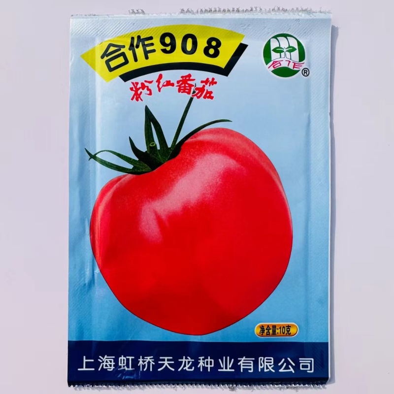 上海合作908粉红番茄种子大果红粉无限生长型酸甜西红柿种