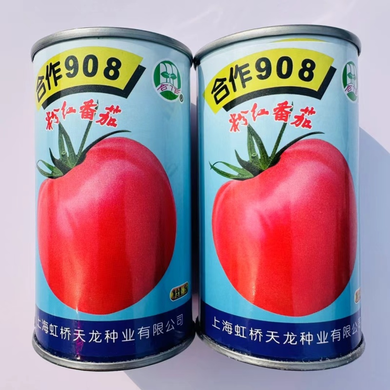 上海合作908粉红番茄种子大果红粉无限生长型酸甜西红柿种