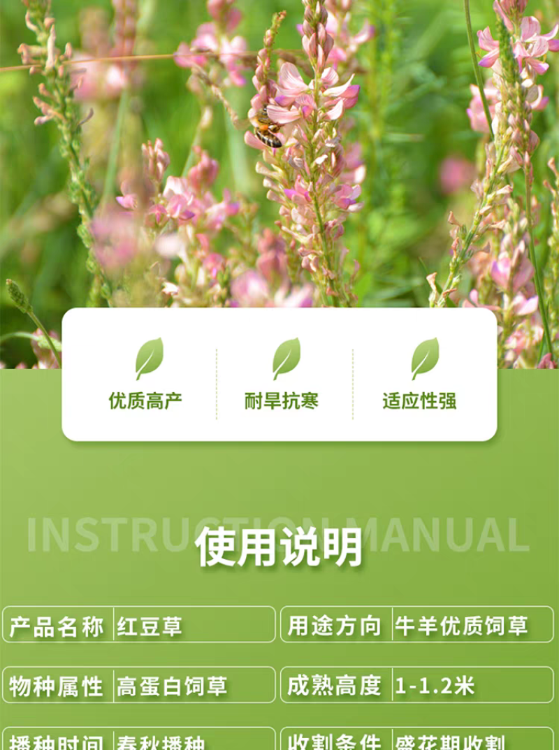 正宗红豆草种子绿肥种子饲草四季耐寒耐旱红豆草籽种家畜高产