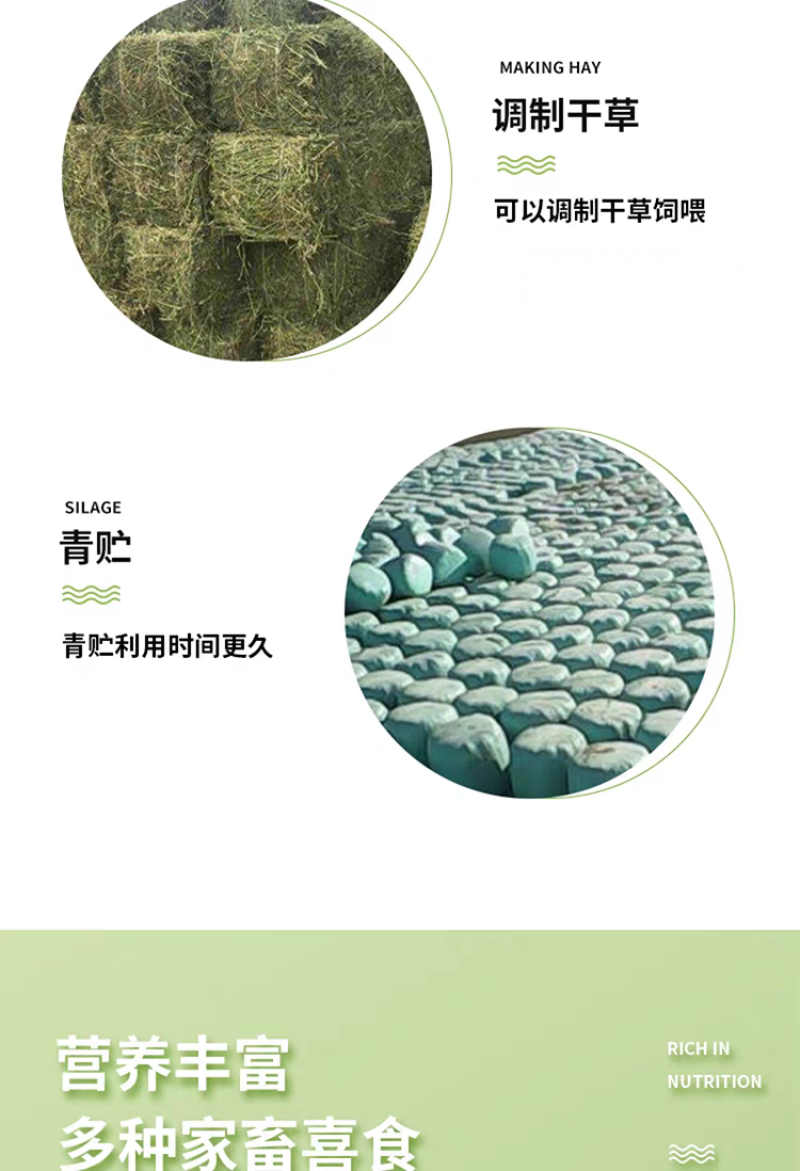 正宗红豆草种子绿肥种子饲草四季耐寒耐旱红豆草籽种家畜高产