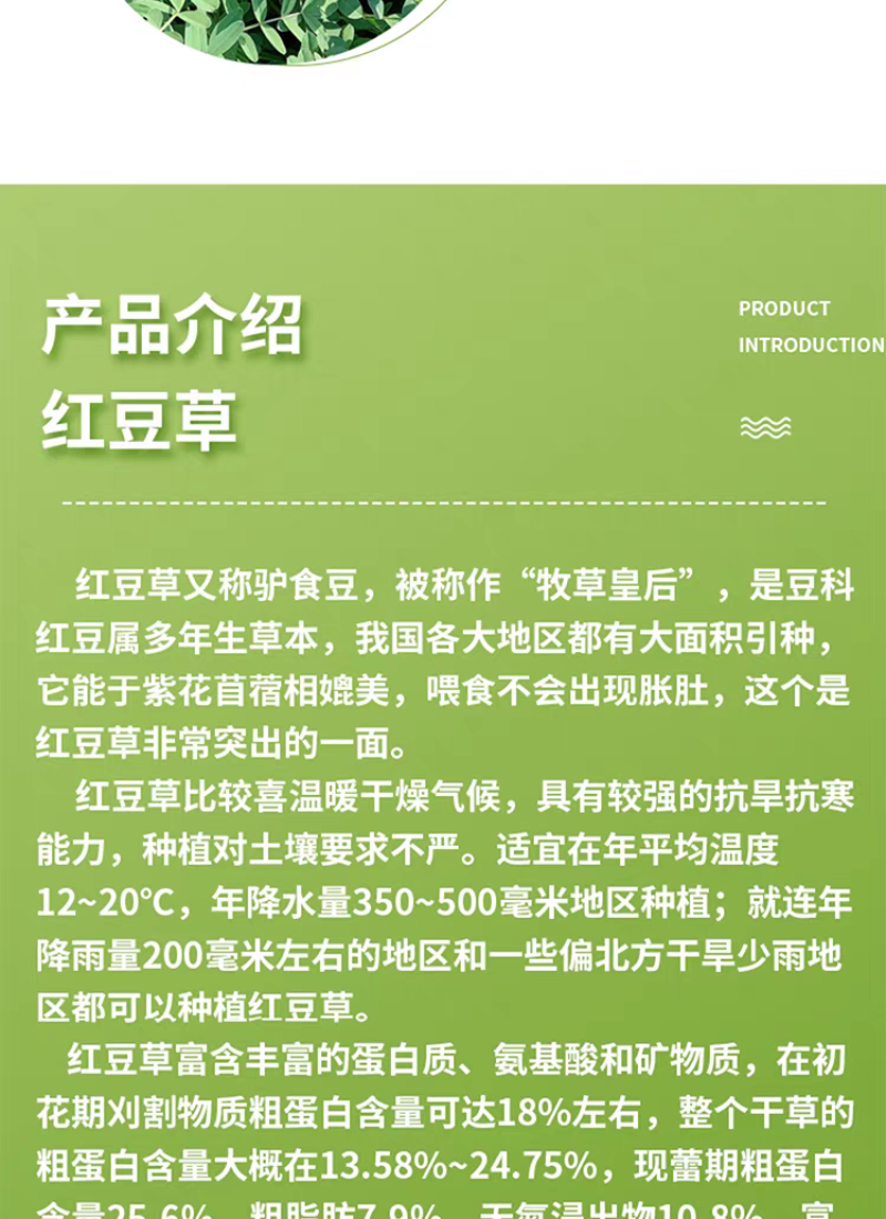 正宗红豆草种子绿肥种子饲草四季耐寒耐旱红豆草籽种家畜高产