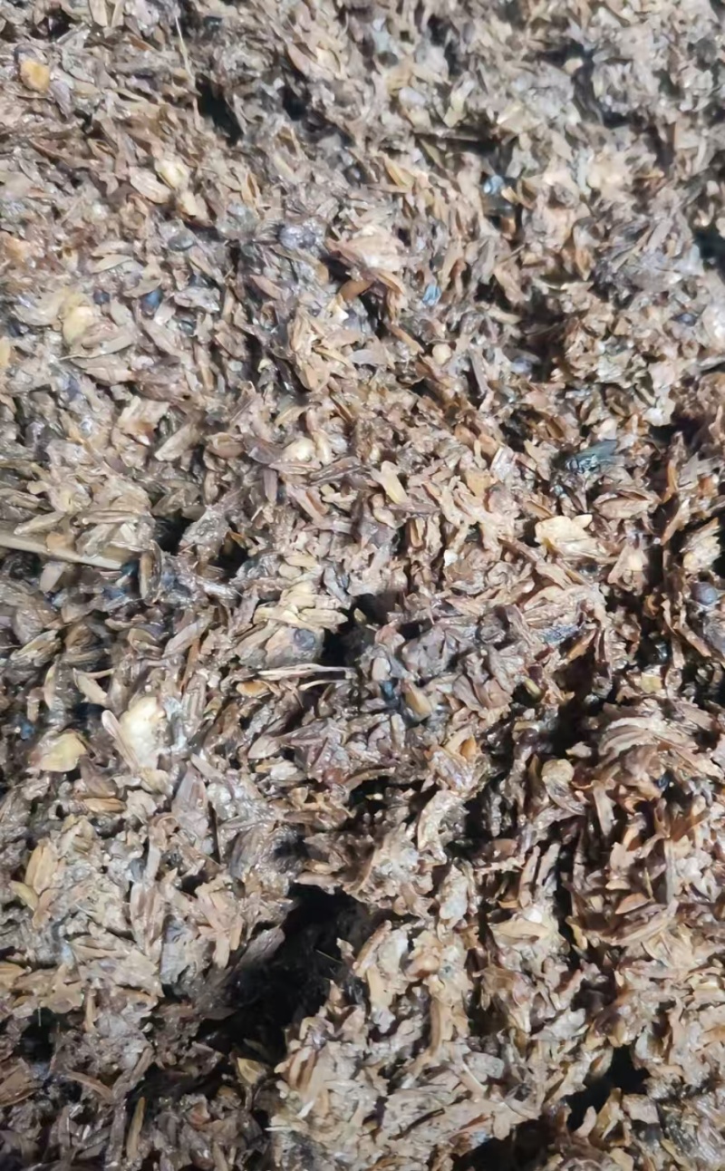 白酒糟，洋河大曲厂家直销，常年经营，代发全国各地，粮食多