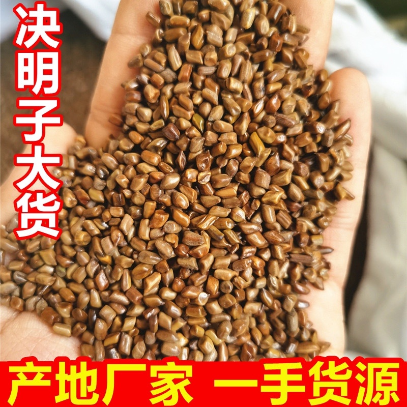 熟决明子炒熟决明子泡水决明子决明子颗粒颗粒均匀
