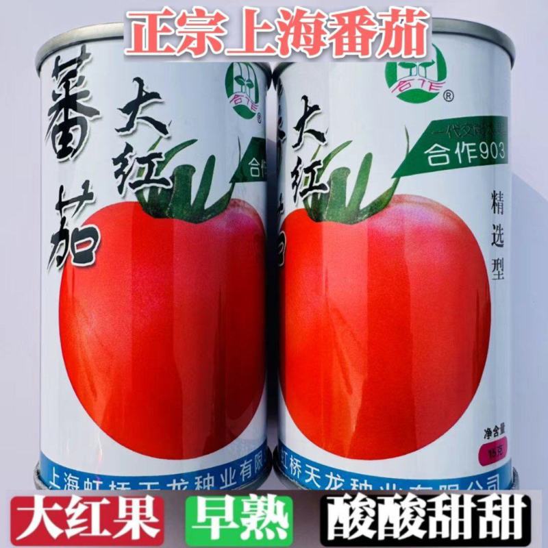 正宗上海番茄种子本地大红果西红柿种子有机大果番茄种籽酸酸