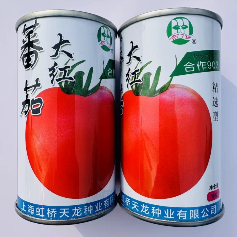 正宗上海番茄种子本地大红果西红柿种子有机大果番茄种籽酸酸