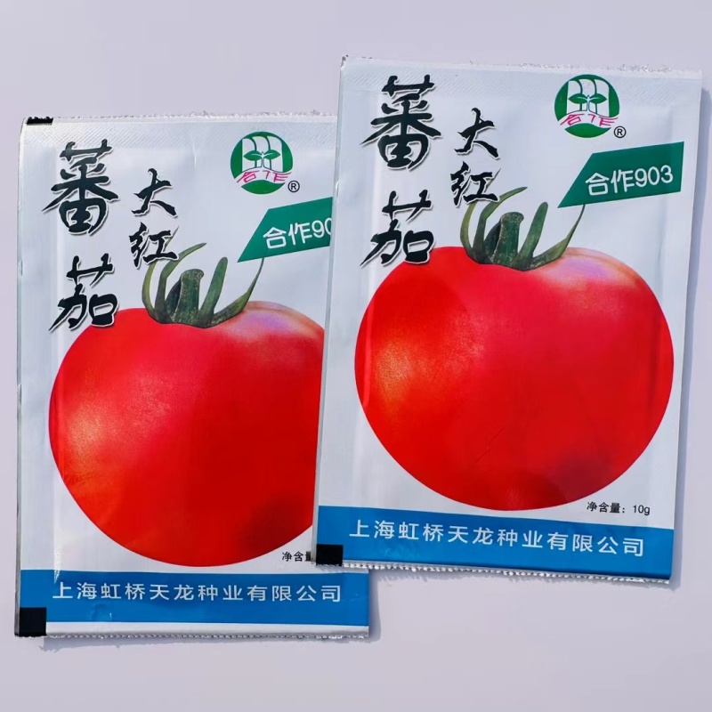 正宗上海番茄种子本地大红果西红柿种子有机大果番茄种籽酸酸